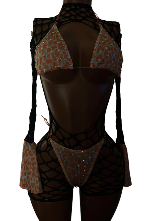 Midnight Cheetah